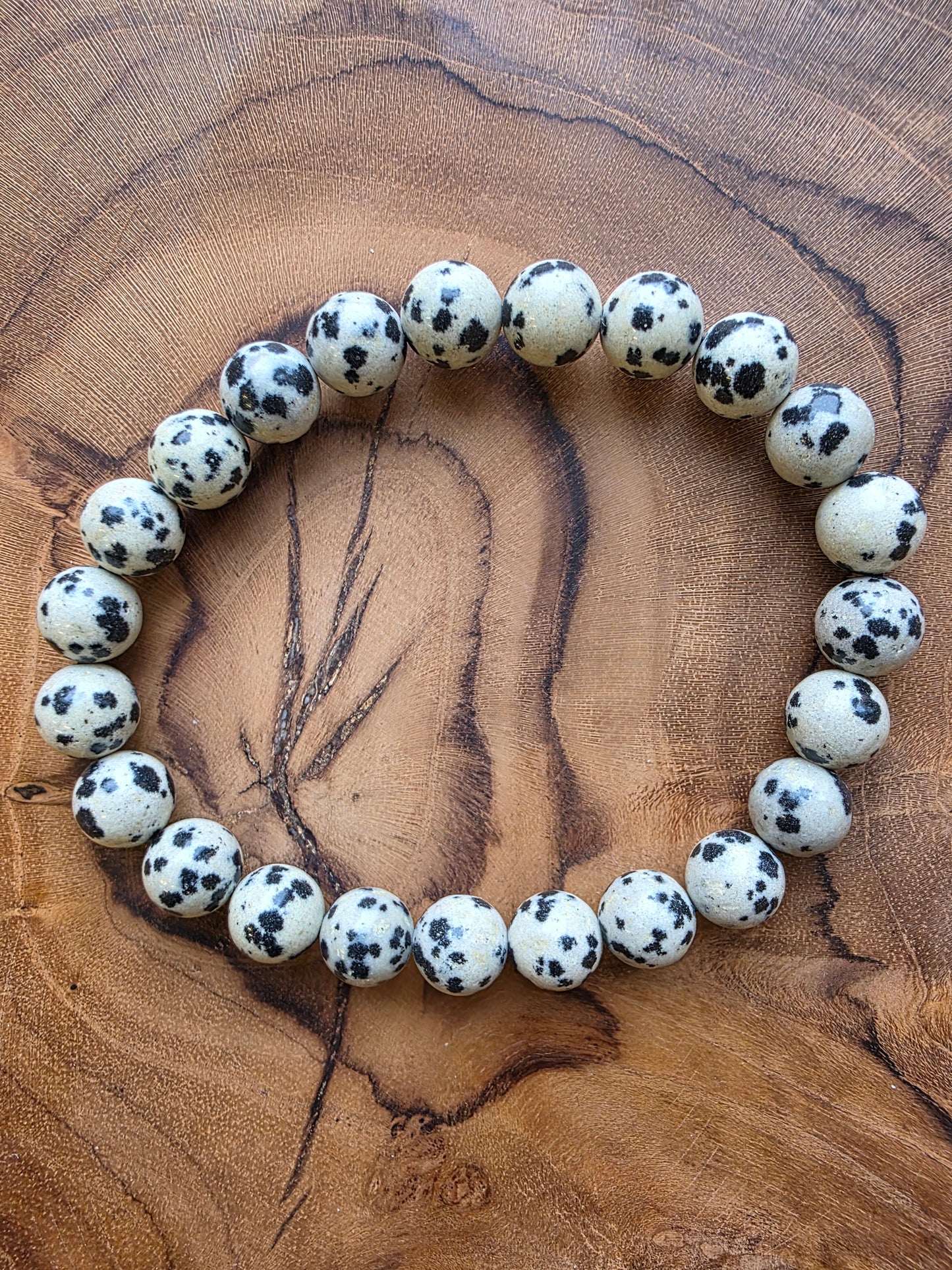 Dalmatin Jaspis Armband