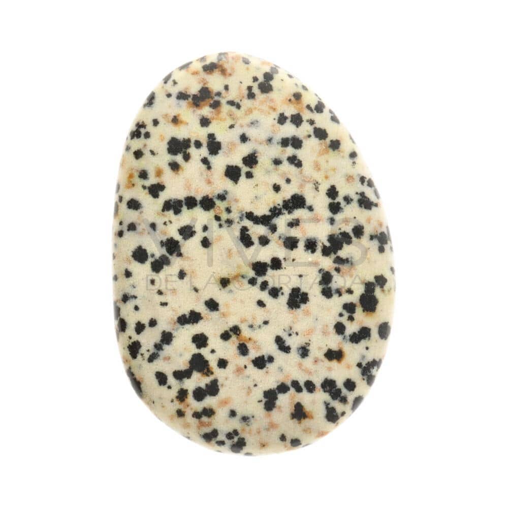 Dalmatiner Jaspis