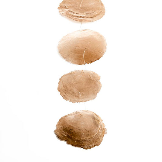Capiz Snäck Hänge: Brun