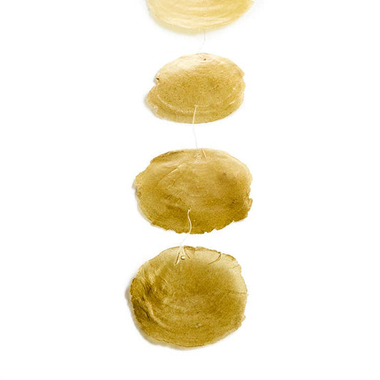 Capiz Snäck Hänge: Guld